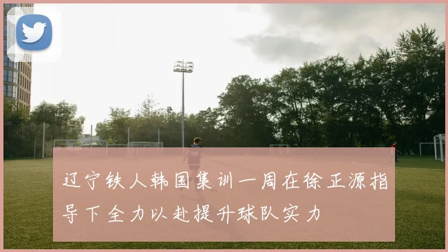 辽宁铁人韩国集训一周在徐正源指导下全力以赴提升球队实力