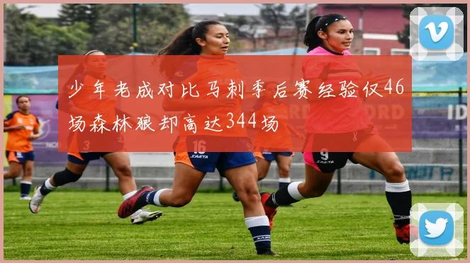 少年老成对比马刺季后赛经验仅46场森林狼却高达344场